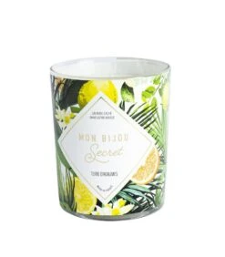 Geurkaars Citrus Met Zilveren Oorbellen 7 Geurkaars Citrus Met Zilveren Oorbellen -Kaarsen Voor Thuis 10fd85bb2bea41a7b33ca7d9022ae6d8