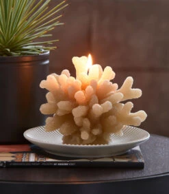 Kaars, Decoratieve Stompkaars Koraal - Coral - Blauw - 1 Stuk -Kaarsen Voor Thuis 9973dd9dac084857ba92b4adca1ea19a