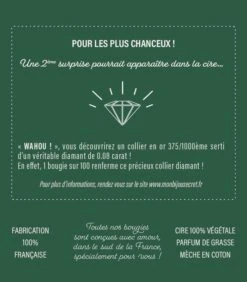 Geurkaars Kokosnoot Met Zilveren Oorbellen -Kaarsen Voor Thuis f55876d8273e4209a582287886608f3d